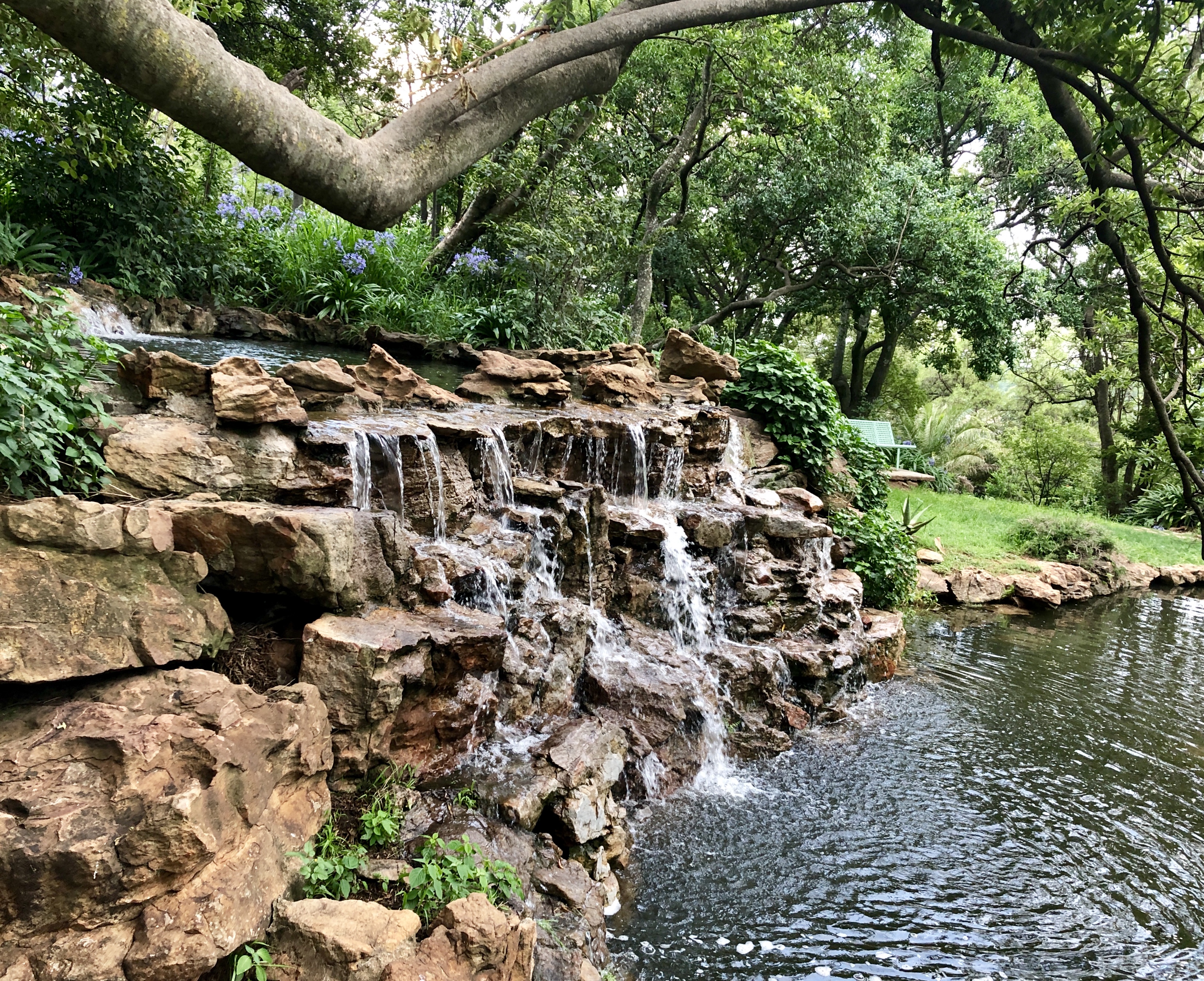 Joburgers geared for the outdoors as nature reserves reopen - Vimarsana News