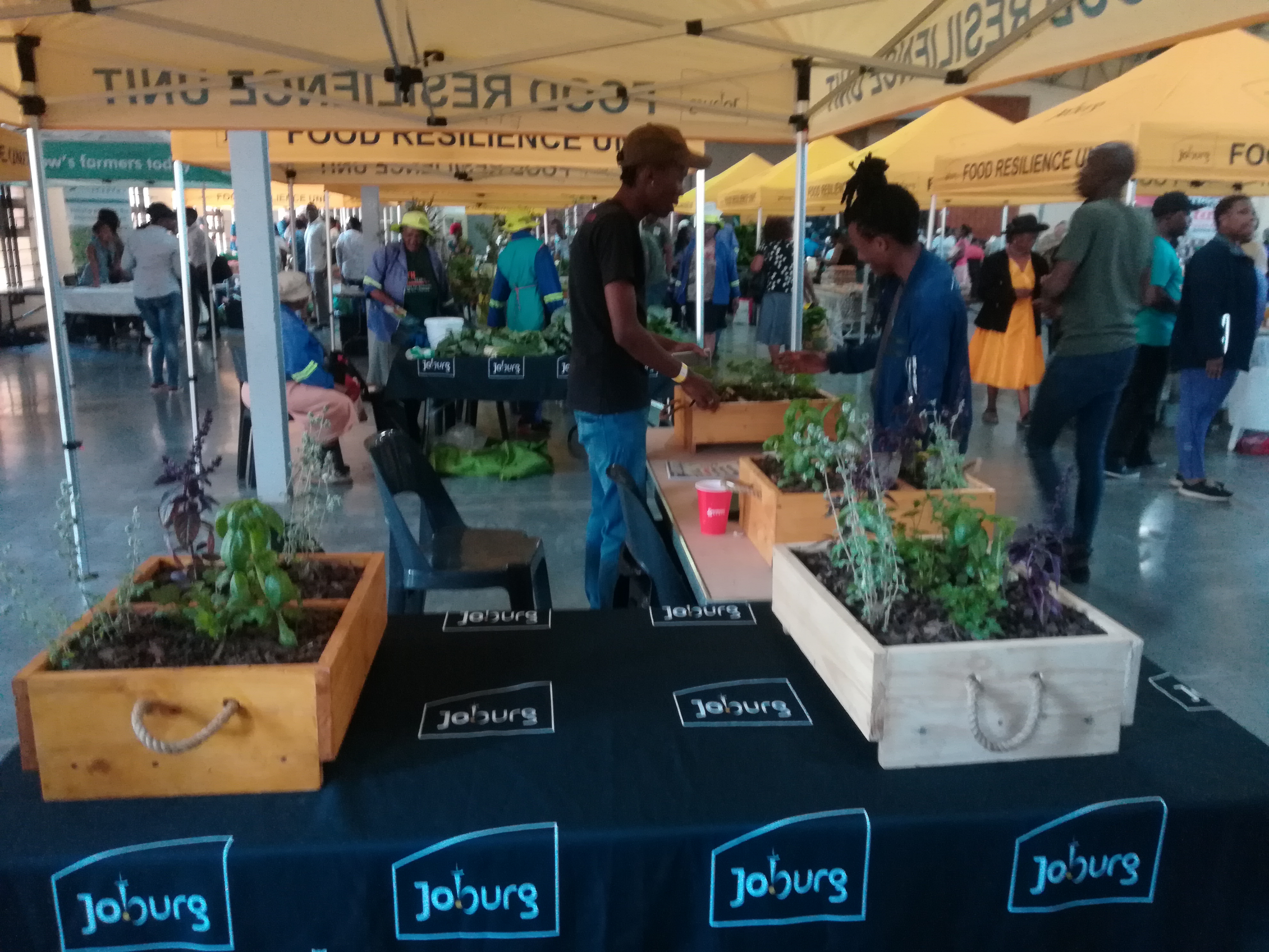 Urban farms.jpg